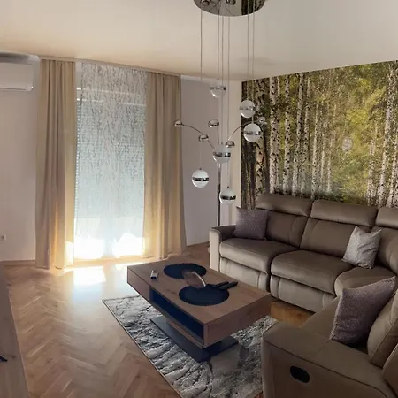 Family Apartment Split